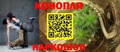 Альфа ПВП Нальчик