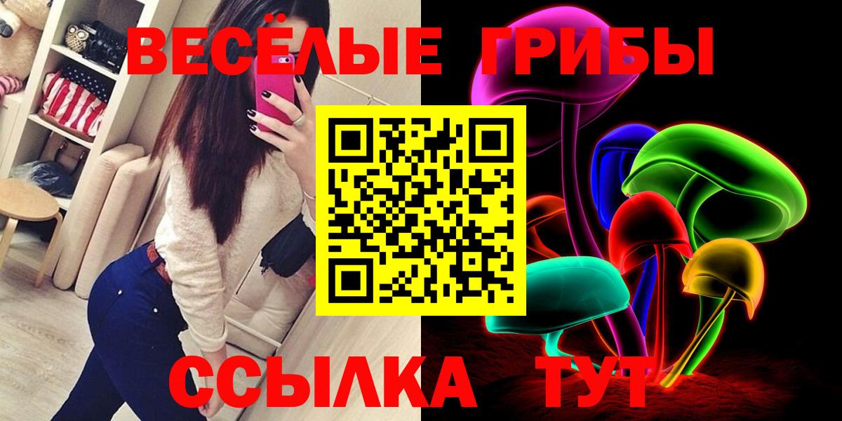 Псилоцибиновые грибы мухоморы Александров