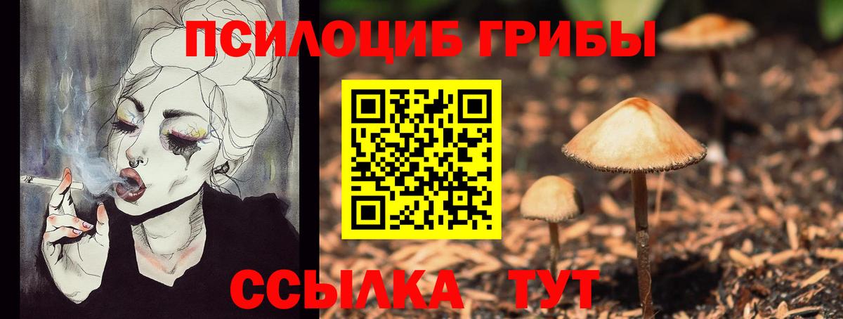 Александров  Псилоцибиновые грибы Psilocybe  Вход с VPN 